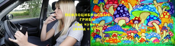 mdpv Надым