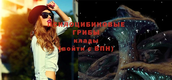 mdpv Надым