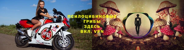 mdpv Надым