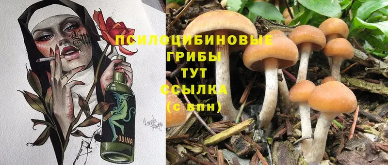 кракен ТОР  Лысково  Псилоцибиновые грибы MAGIC MUSHROOMS 